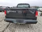 2000 Dodge Dakota