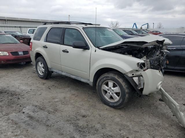 2009 Ford Escape XLT