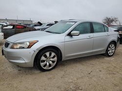 Honda salvage cars for sale: 2008 Honda Accord EXL