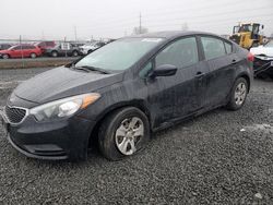 Salvage cars for sale at Eugene, OR auction: 2016 KIA Forte LX