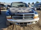 2002 Dodge Dakota Quad SLT