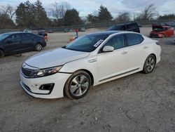 Salvage cars for sale at Madisonville, TN auction: 2014 KIA Optima Hybrid