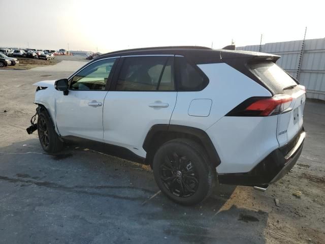 2024 Toyota Rav4 XSE