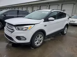 Salvage cars for sale at Louisville, KY auction: 2018 Ford Escape SE