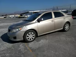 Salvage cars for sale at Sun Valley, CA auction: 2010 Toyota Corolla Base