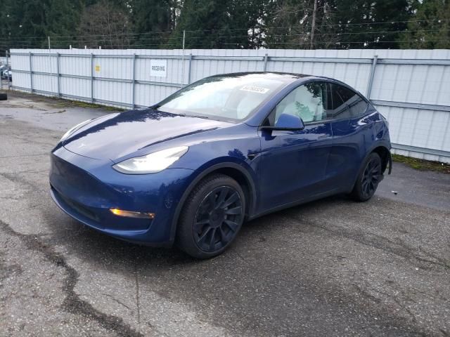 2020 Tesla Model Y