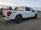 2024 Ford F150 XLT