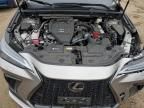 2024 Lexus NX 350 Luxury