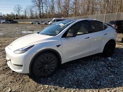 Salvage cars for sale at Waldorf, MD auction: 2023 Tesla Model Y