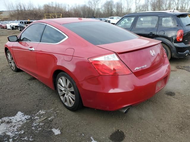 2008 Honda Accord EXL