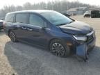 2024 Honda Odyssey EXL