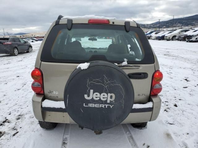 2003 Jeep Liberty Renegade