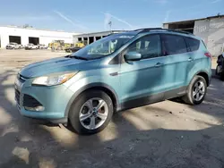 Ford Escape salvage cars for sale: 2013 Ford Escape SE