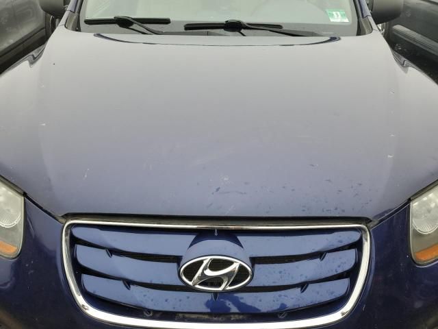 2010 Hyundai Santa FE GLS