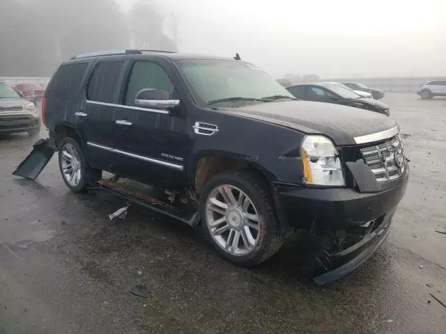 2010 Cadillac Escalade Premium