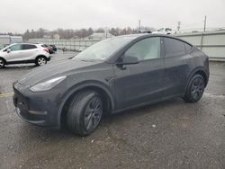 2024 Tesla Model Y en venta en Pennsburg, PA