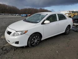 Salvage cars for sale at Windsor, NJ auction: 2009 Toyota Corolla Base