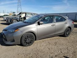 Salvage cars for sale at Adelanto, CA auction: 2019 Toyota Corolla L