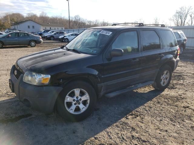 2006 Ford Escape XLT