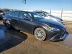 2023 Lexus ES 300H Base