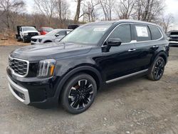 KIA Telluride salvage cars for sale: 2024 KIA Telluride SX