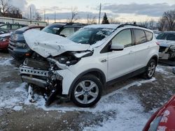 Salvage cars for sale at Lansing, MI auction: 2015 Ford Escape SE