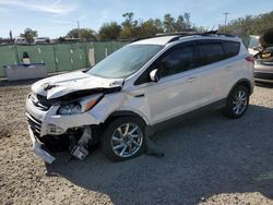 Salvage vehicles for parts for sale at auction: 2016 Ford Escape SE