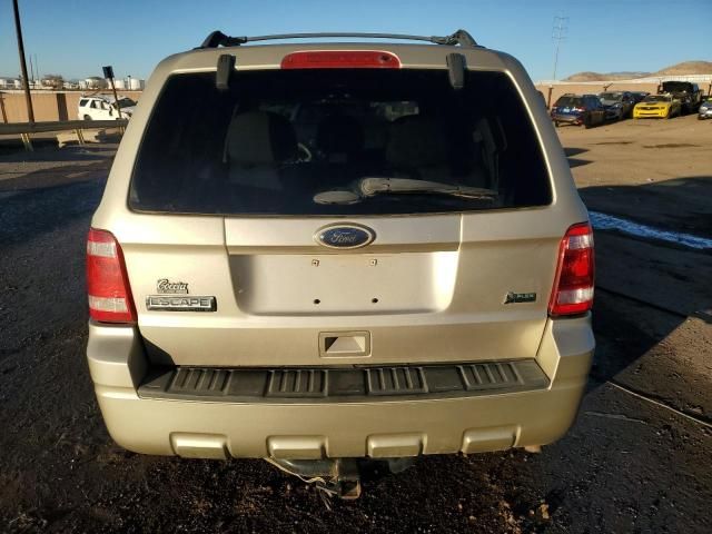 2011 Ford Escape XLT