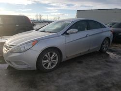 Hyundai salvage cars for sale: 2013 Hyundai Sonata SE