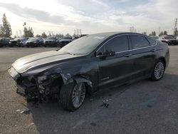 Ford salvage cars for sale: 2014 Ford Fusion Titanium HEV