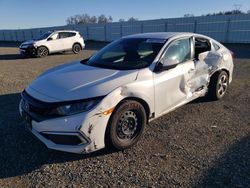 Salvage cars for sale at Anderson, CA auction: 2019 Honda Civic LX