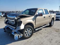 Ford salvage cars for sale: 2013 Ford F150 Supercrew