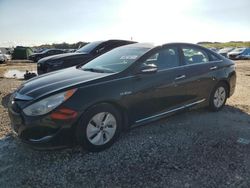 Salvage cars for sale from Copart West Palm Beach, FL: 2013 Hyundai Sonata Hybrid