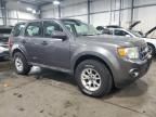 2011 Ford Escape XLS