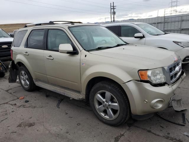 2010 Ford Escape Limited