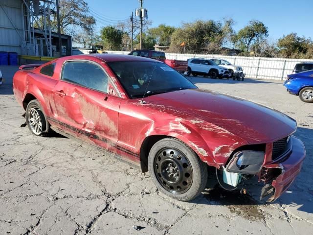 2005 Ford Mustang