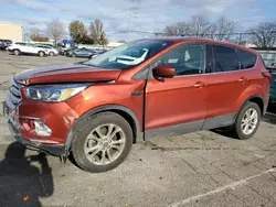 Salvage cars for sale at Moraine, OH auction: 2019 Ford Escape SE