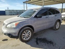 Salvage cars for sale at Anthony, TX auction: 2009 Honda CR-V LX