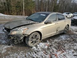 Honda salvage cars for sale: 2010 Honda Accord EXL