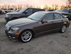 Salvage cars for sale at Baltimore, MD auction: 2013 Mercedes-Benz C 300 4matic