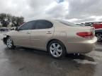 2005 Lexus ES 330