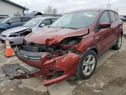 Ford Vehiculos salvage en venta: 2014 Ford Escape SE