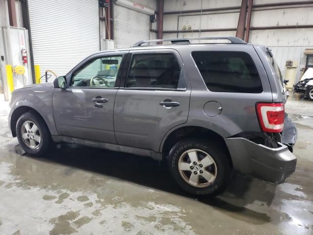 2009 Ford Escape XLT