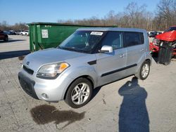 Salvage cars for sale at Ellwood City, PA auction: 2011 KIA Soul +