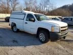 2013 Chevrolet Silverado C1500