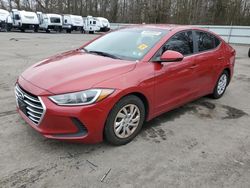 Salvage cars for sale from Copart Glassboro, NJ: 2017 Hyundai Elantra SE