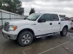 Salvage cars for sale from Copart Moraine, OH: 2013 Ford F150 Supercrew