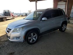 Volkswagen Vehiculos salvage en venta: 2010 Volkswagen Tiguan S