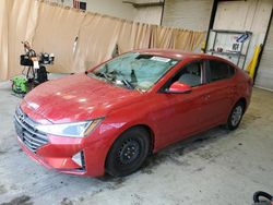 Salvage cars for sale at Martinez, CA auction: 2020 Hyundai Elantra SE