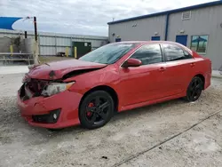 Salvage cars for sale at Arcadia, FL auction: 2013 Toyota Camry L